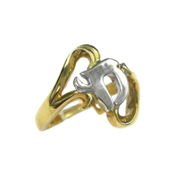 Yellow and White Gold Chi Ring